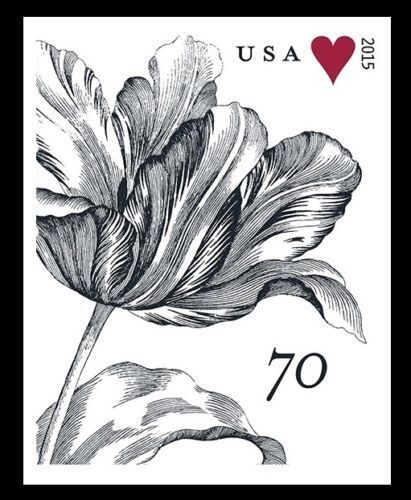 5553625