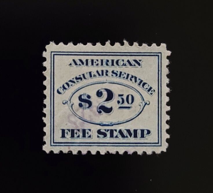 5550503