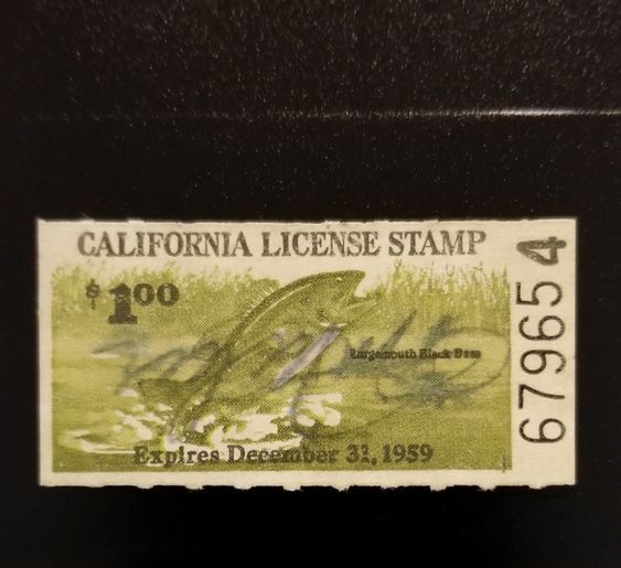 5550675