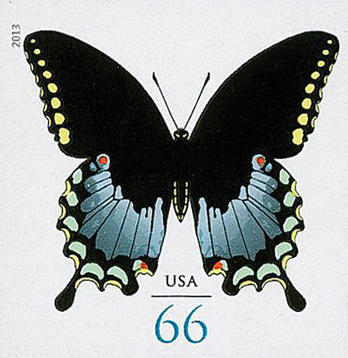 5551196