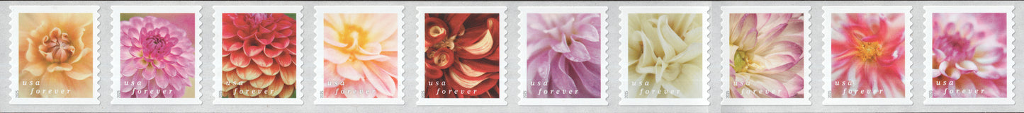 2025 78c Forever Dahlias, Coil Strip of 10 Scott 5982-5991 Mint F/VF NH