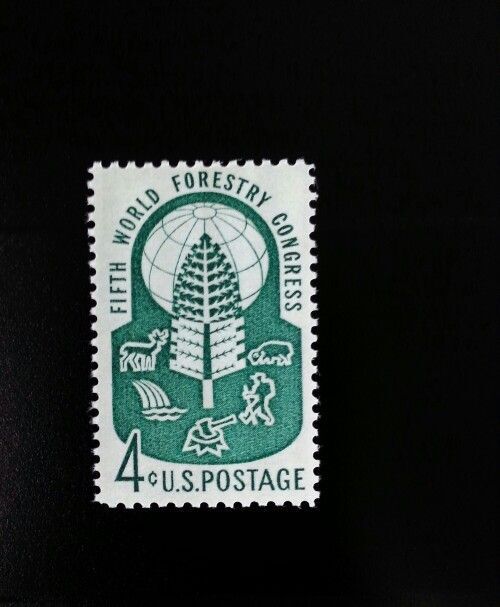 5552537