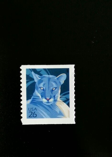 5549310