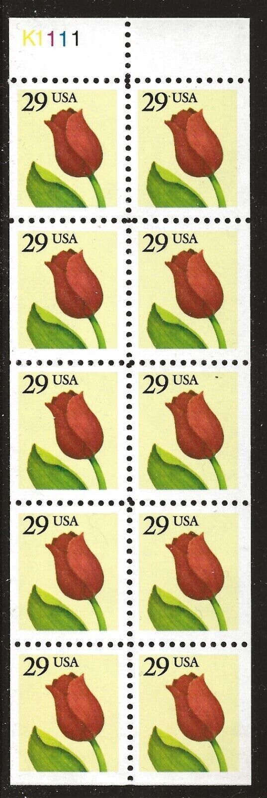 5548404