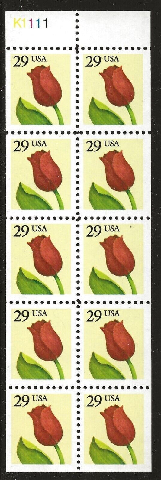 5548404
