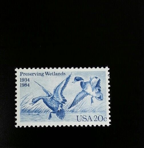 5548315