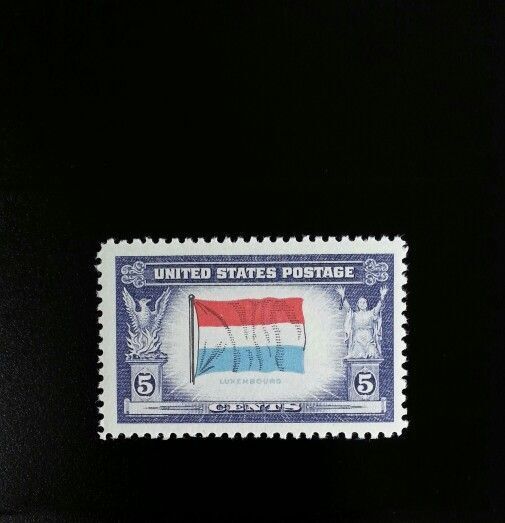5549239