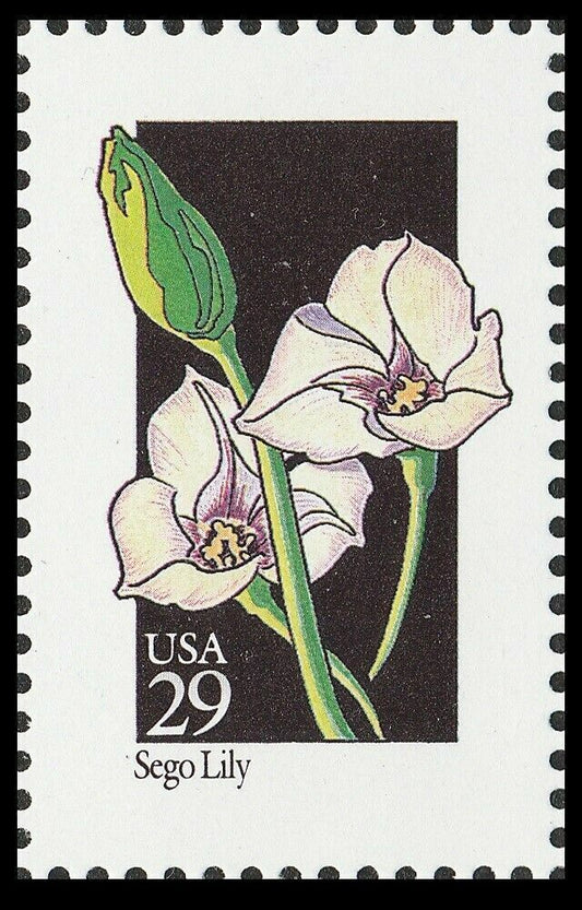 5549170