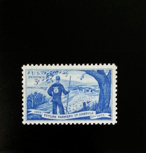 5549734