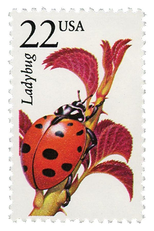 5552064