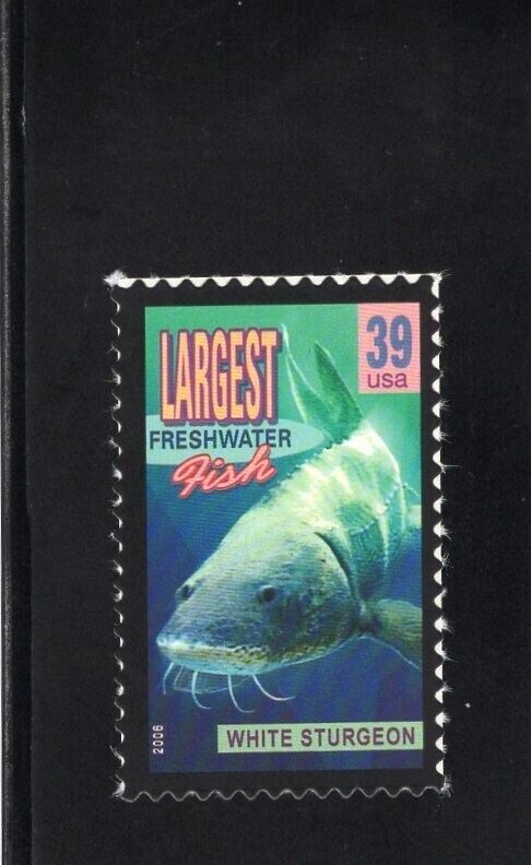 5548130