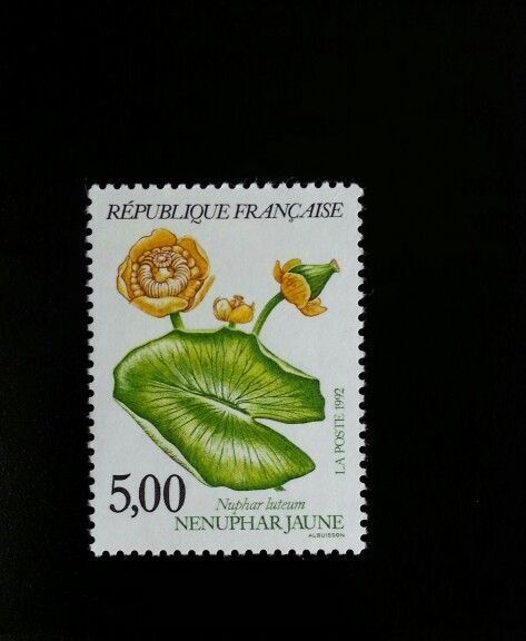 5553130
