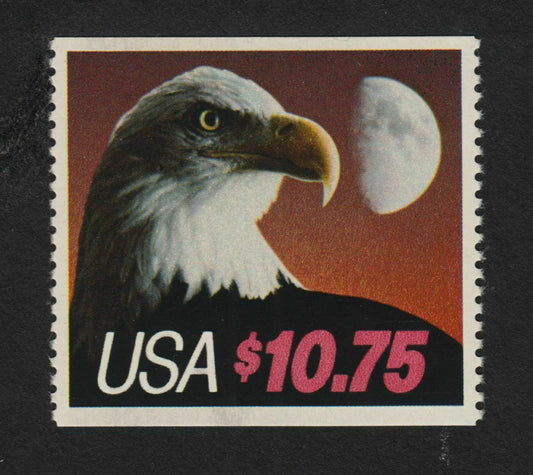 5550638