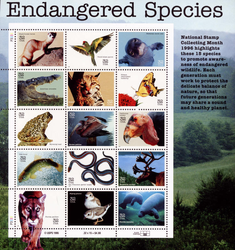 5548580