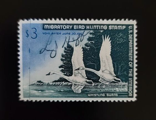 5553094