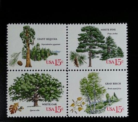 5549069