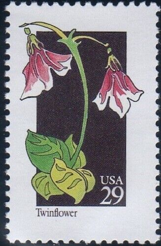 5549167