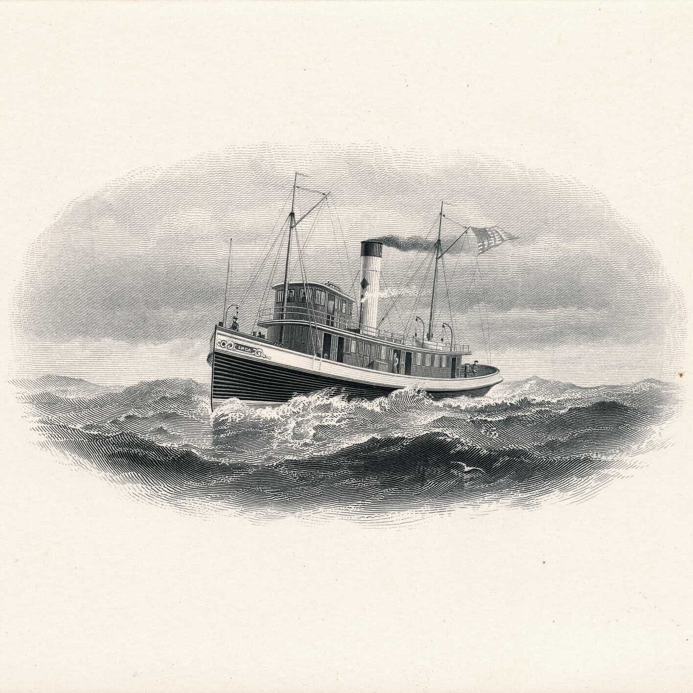 5548642
