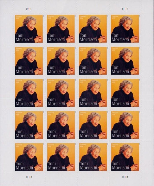 5548307