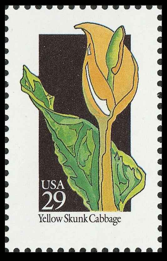 5549505