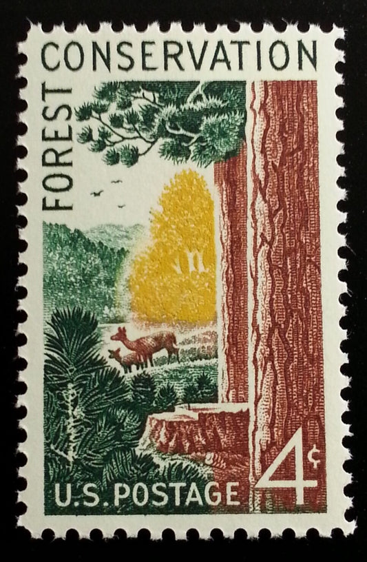5550479