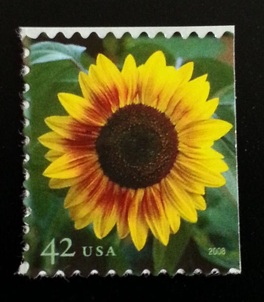 5548398